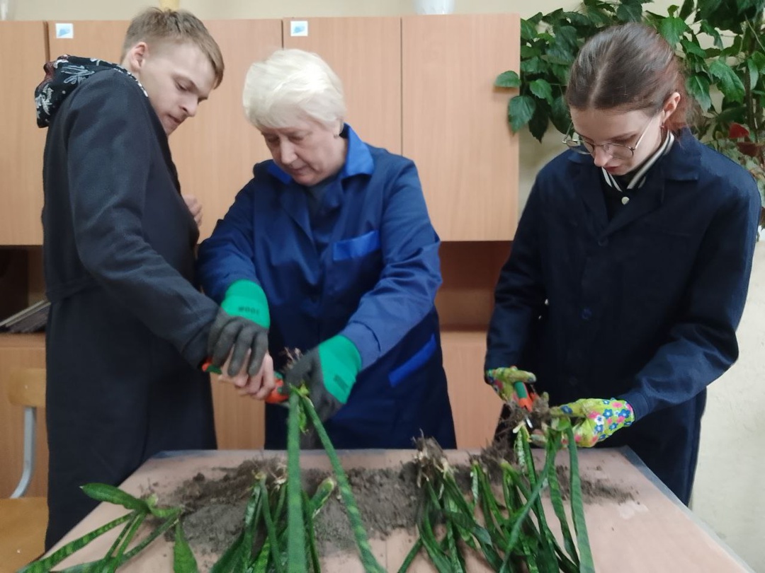 Центр дневного пребывания для молодых людей с инвалидность 18+.